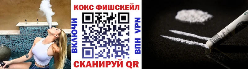 КОКАИН Fish Scale  Купить закладки  Звенигово 