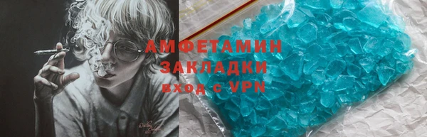прущие грибы Корсаков