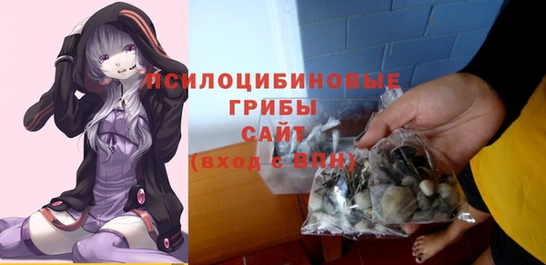 прущие грибы Корсаков