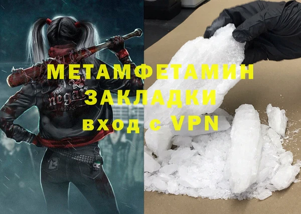 прущие грибы Корсаков