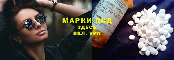 прущие грибы Корсаков