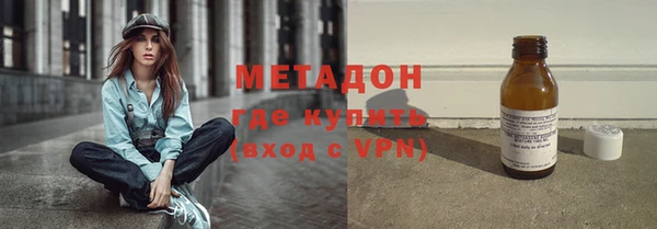 прущие грибы Корсаков