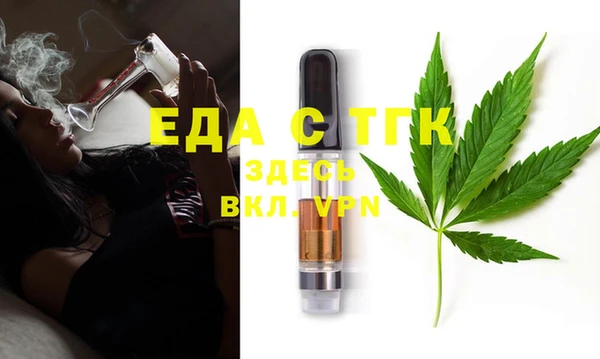прущие грибы Корсаков