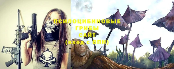 прущие грибы Корсаков