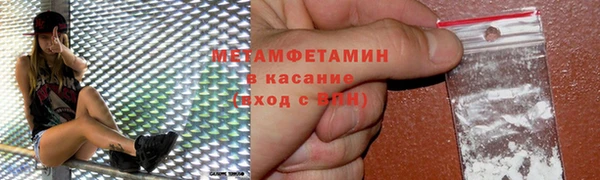 прущие грибы Корсаков