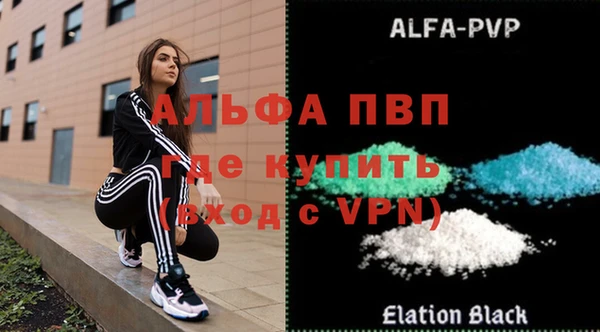 прущие грибы Корсаков