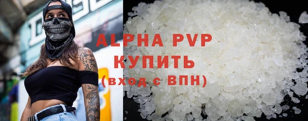 прущие грибы Корсаков