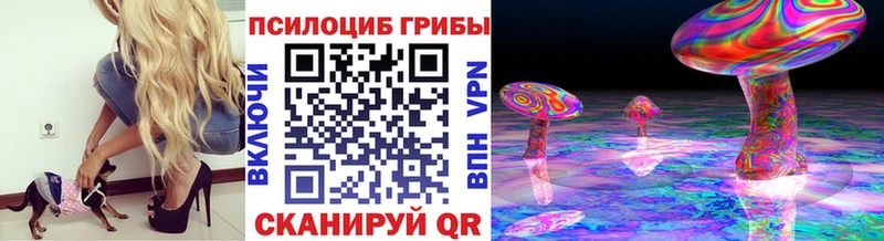 Купить  Звенигово  Галлюциногенные грибы Magic Shrooms 